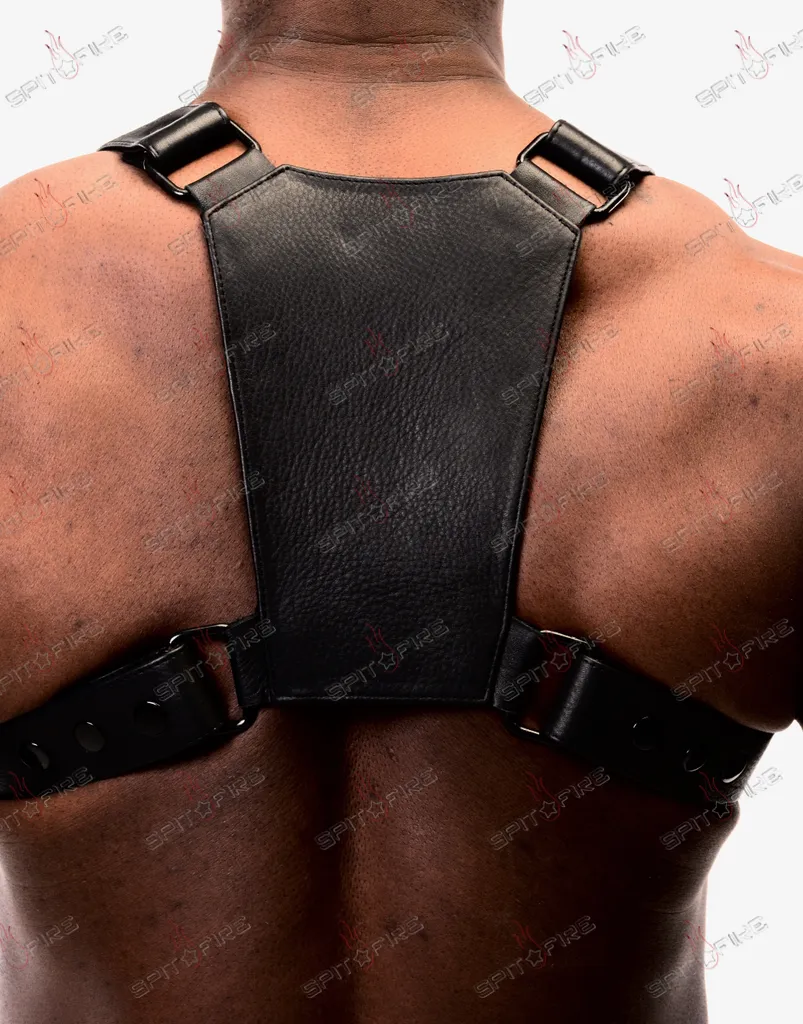 Vest Harness